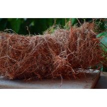 Vetiver Roots (Ramacham)